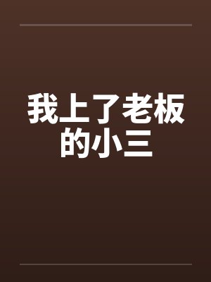 我上了老板的小三