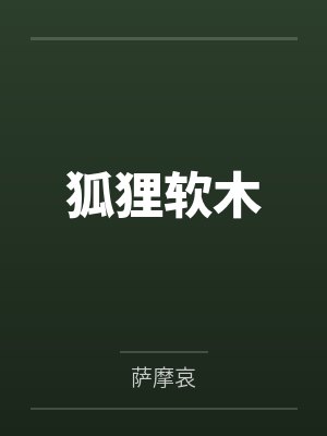 徐了程恕狐狸软木 徐了程恕狐狸软木