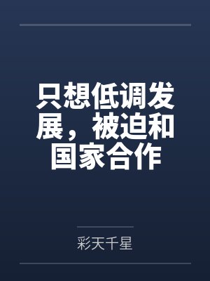 只想低调发展,被迫和国家合作 只想低调发展,被迫和国家合作