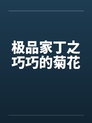 极品家丁之巧巧的菊花