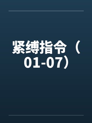 紧缚装置 紧缚装置