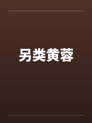 另类黄蓉 另类黄蓉