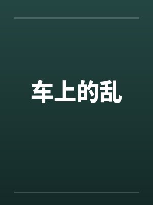 车上的乱