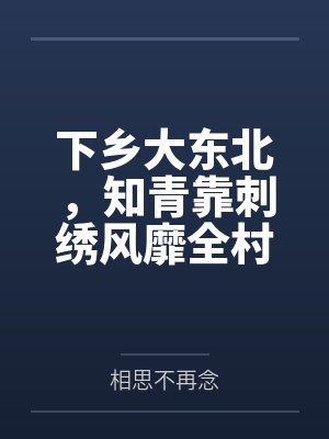 下乡大东北，知青靠刺绣风靡全村笔趣阁无弹窗