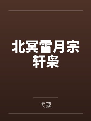 北冥雪月宗轩枭