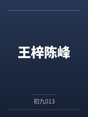 王梓陈峰