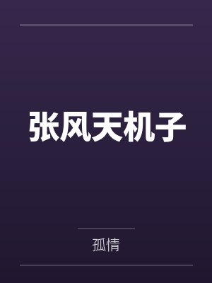 张风天机子