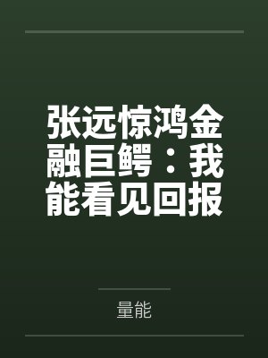 张远惊鸿金融巨鳄：我能看见回报率