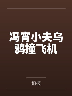 冯宵小夫乌鸦撞飞机
