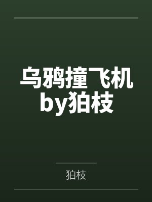 乌鸦撞飞机by狛枝