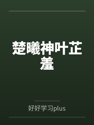 楚曦神叶芷羞