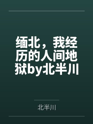 缅北，我经历的人间地狱by北半川