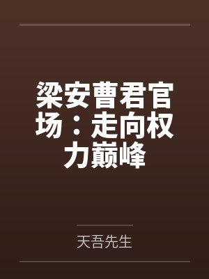 梁安曹君官场：走向权力巅峰