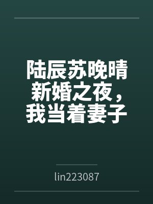 陆辰苏晚晴新婚之夜，我当着妻子面变成了女生